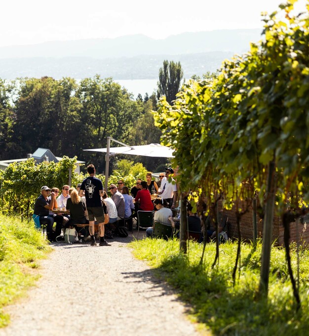 Landolt Weine - Weinwanderung in der Stadt Zürich