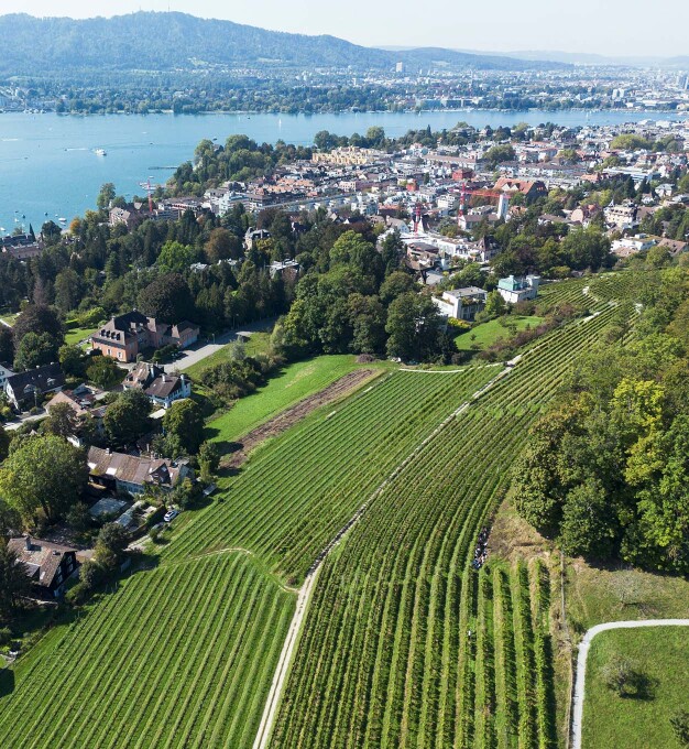 Landolt Weine - Aussicht über den Reben